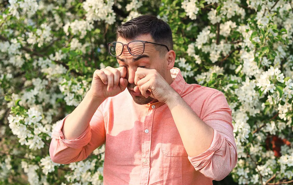 Read more about the article Spring Allergy Survival Guide